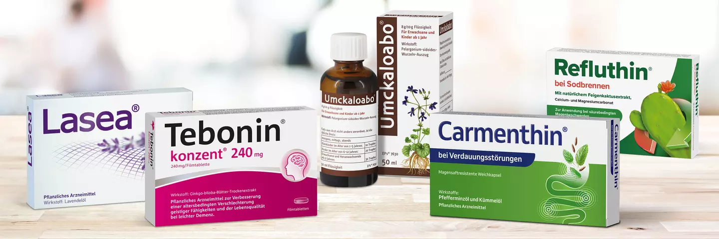 Produktpackungen von Lasea, Tebonin, Umckaloabo, Carmenthin und Refluthin